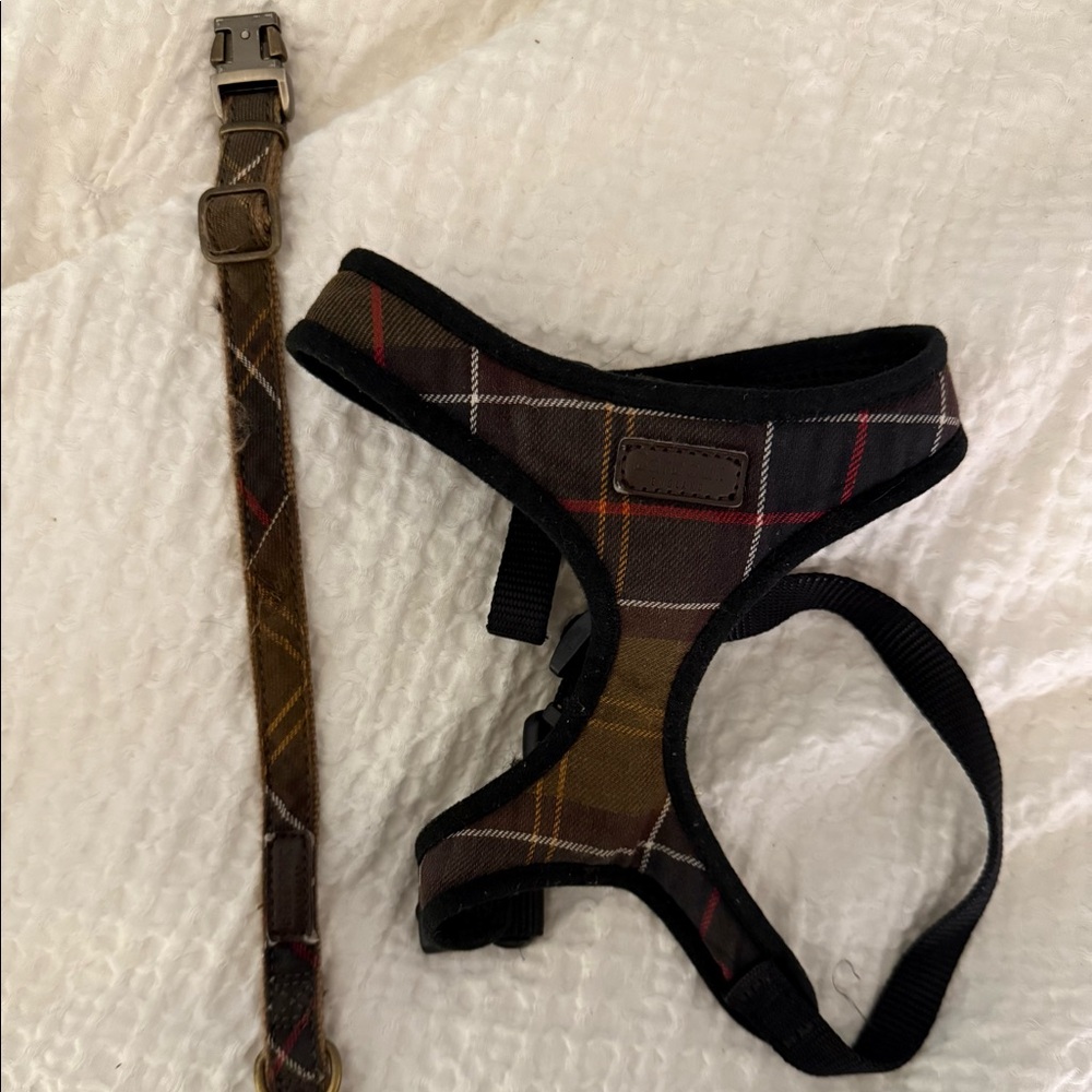 Barbour Dog Collar and Harness